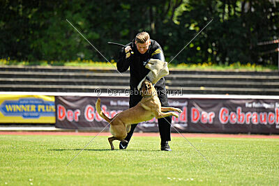  ne pas toucher Amy Winehouse