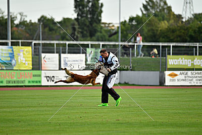 A'Tom Canis Aemona