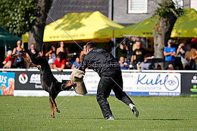 Aaron vom Weisenstein