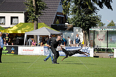 Aaron vom Weisenstein