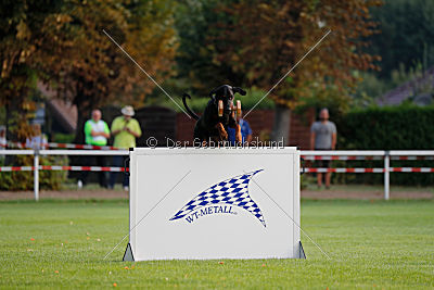 Aaron vom Weisenstein