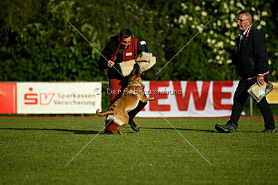 Abby Lee vom Heidländer Wappen