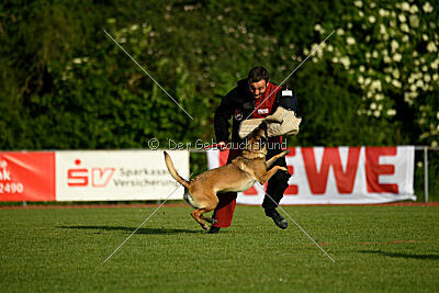 Abby Lee vom Heidländer Wappen