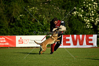Abby Lee vom Heidländer Wappen