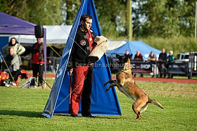 Abby Lee vom Heidländer Wappen