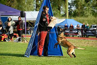Abby Lee vom Heidländer Wappen