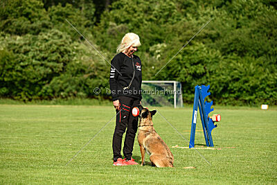 Abby Lee vom Heidländer Wappen