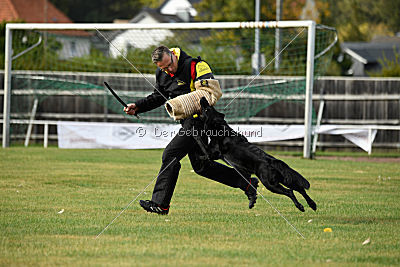 Abby vom Schattenbachtal