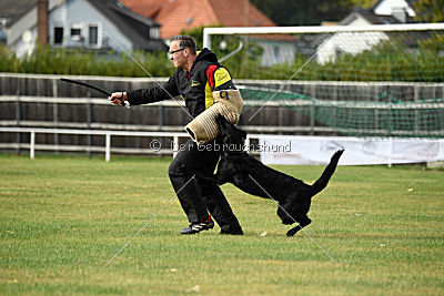 Abby vom Schattenbachtal