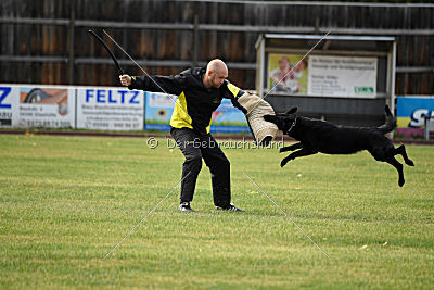 Abby vom Schattenbachtal