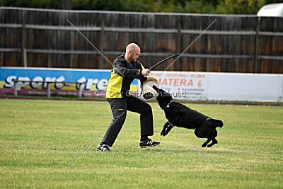 Abby vom Schattenbachtal