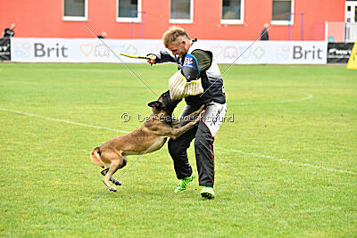 Abyss de Fontemordant
