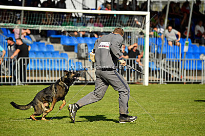 Ace vom Friedrichsfelder Eck