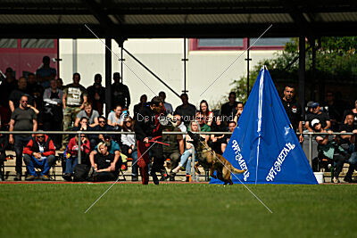 Activ Jerte Maicono livre