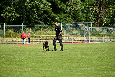 Activ Jerte Maicono livre