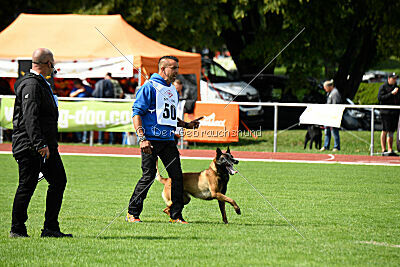 Activ Jerte Maicono livre