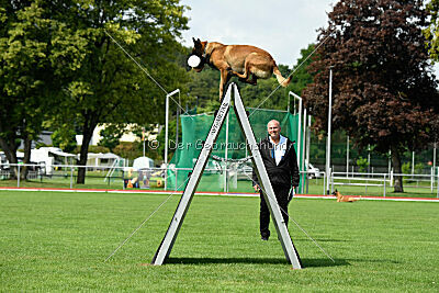 Activ Jerte Maicono livre