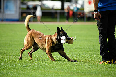 Activ Jerte Maicono livre