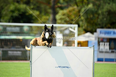 Activ Jerte Maicono livre