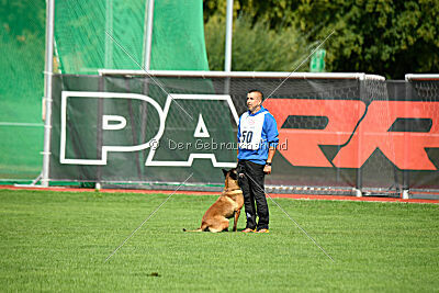 Activ Jerte Maicono livre