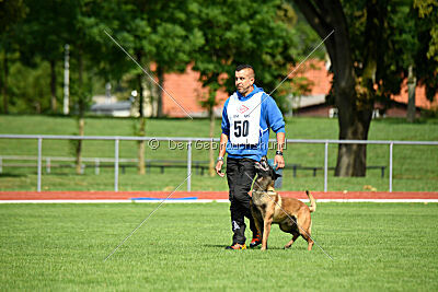 Activ Jerte Maicono livre