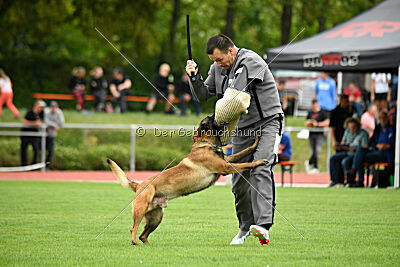 Activ Jerte Maicono livre