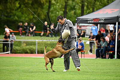 Activ Jerte Maicono livre