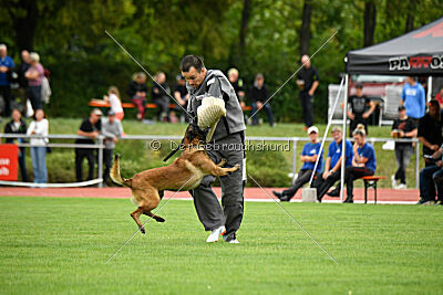 Activ Jerte Maicono livre