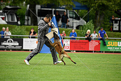 Activ Jerte Maicono livre