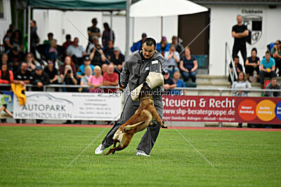 Activ Jerte Maicono livre