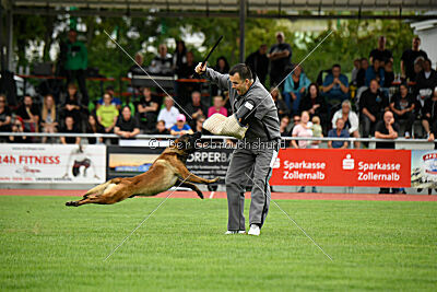 Activ Jerte Maicono livre