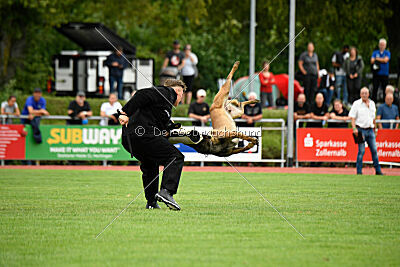 Activ Jerte Maicono livre