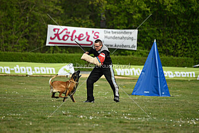 Activ Jerte Maicono livre