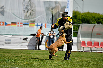 Ada Hegerberg Boca Bohemia