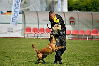 Ada Hegerberg Boca Bohemia