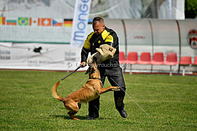 Ada Hegerberg Boca Bohemia