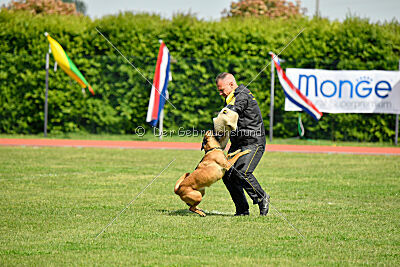 Ada Hegerberg Boca Bohemia
