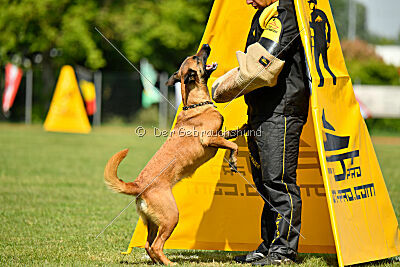 Ada Hegerberg Boca Bohemia