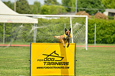 Ada Hegerberg Boca Bohemia