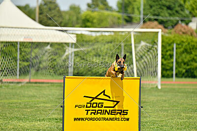 Ada Hegerberg Boca Bohemia