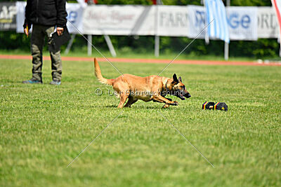 Ada Hegerberg Boca Bohemia