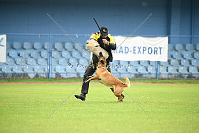 Ada Hegerberg Boca Bohemia