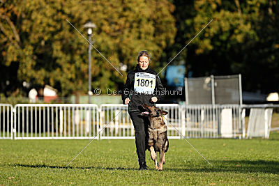 Admiral von Magna Pesna