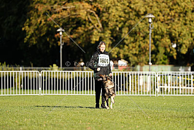 Admiral von Magna Pesna