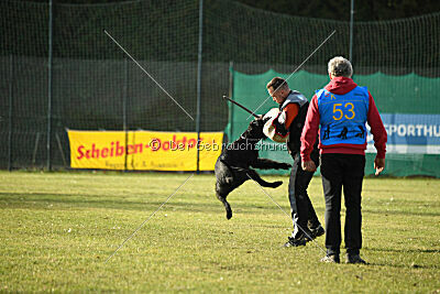 Afra con todos los santos