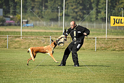 Afra von der schwarzen Mamba