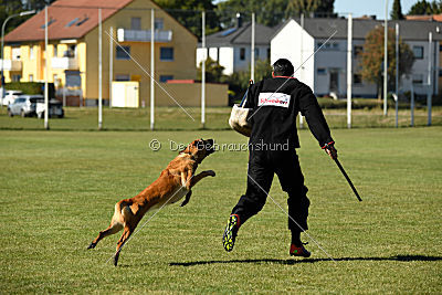 Afra von der schwarzen Mamba