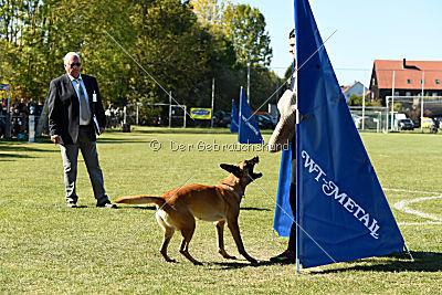 Afra von der schwarzen Mamba