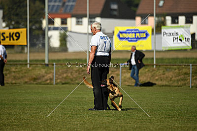 Afra von der schwarzen Mamba
