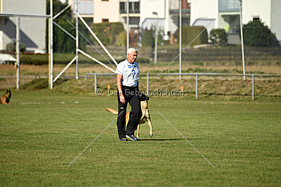 Afra von der schwarzen Mamba